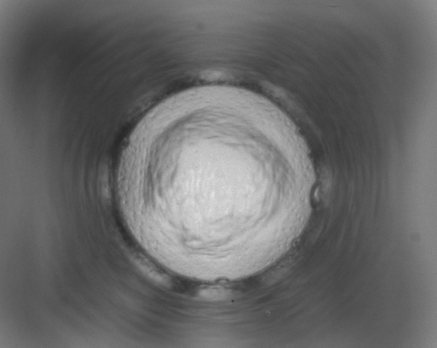 X0000081350470200702082259