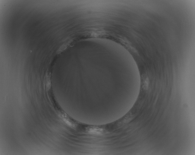 X0000081350471200702082259