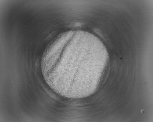 X0000081350472200702082259