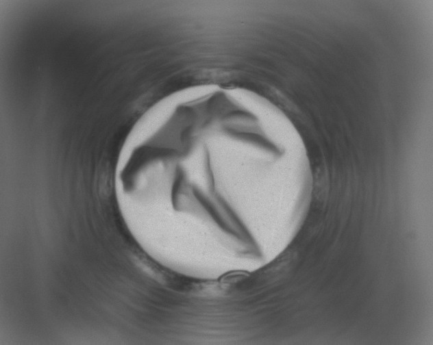 X0000081350474200702082259