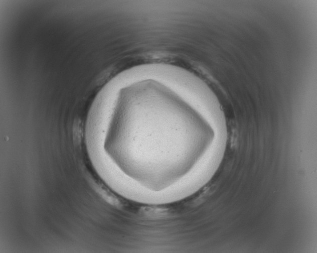 X0000081350476200702082259