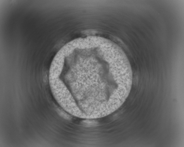 X0000081350477200702082259