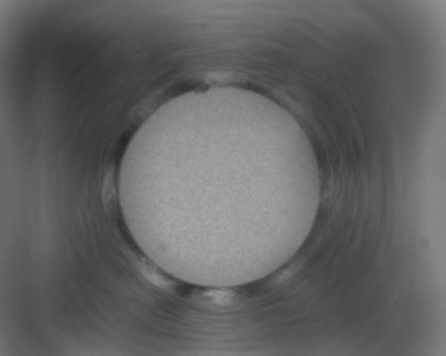 X0000081350478200702082259