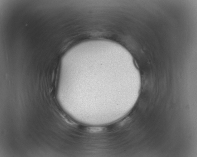 X0000081350479200702082259