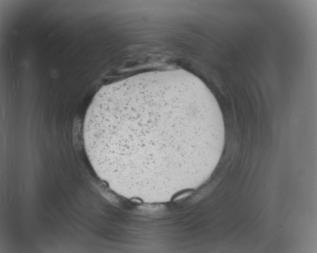 X0000081350480200702082259