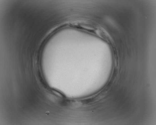 X0000081350483200702082258