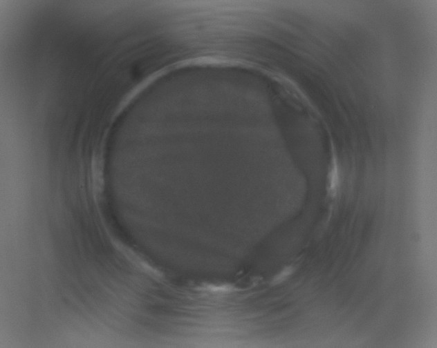 X0000081350484200702082258