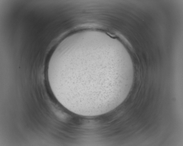 X0000081350486200702082258