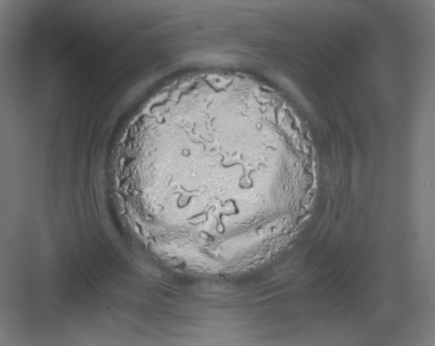 X0000081350487200702082258