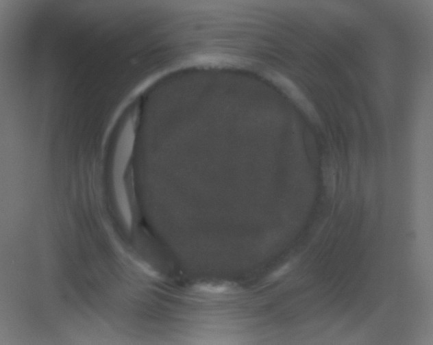 X0000081350488200702082258