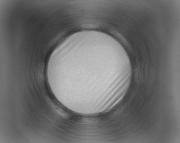 X0000081350490200702082258