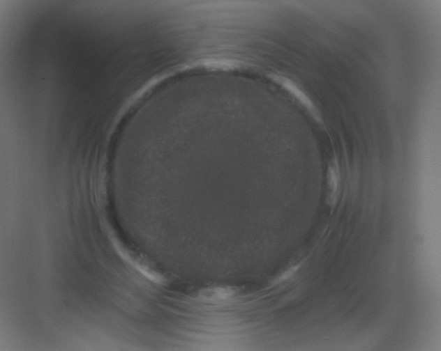 X0000081350492200702082258