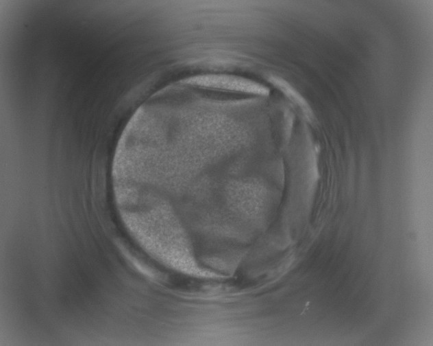 X0000081350493200702082258