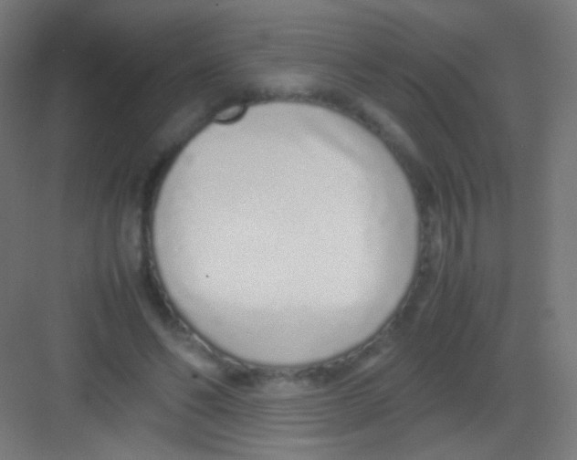 X0000081350494200702082258