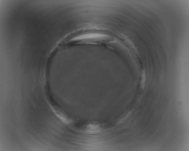 X0000081350496200702082258