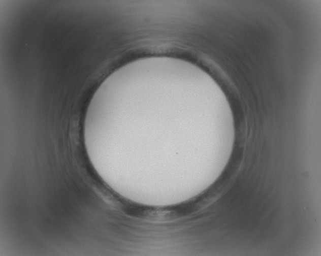 X0000081350497200702082258