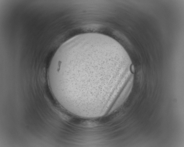 X0000081350498200702082258