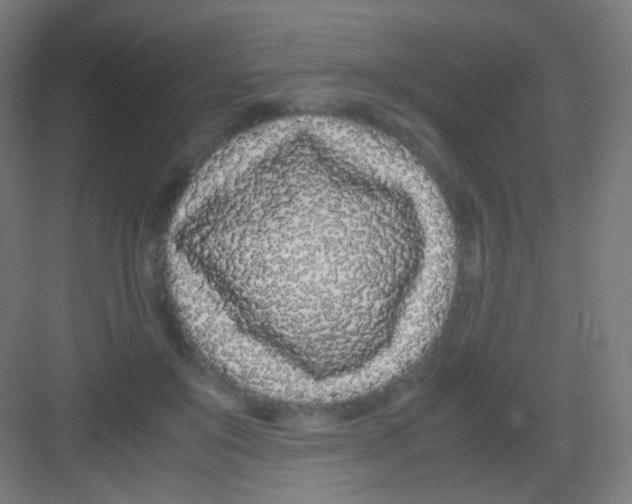 X0000081350503200702082258