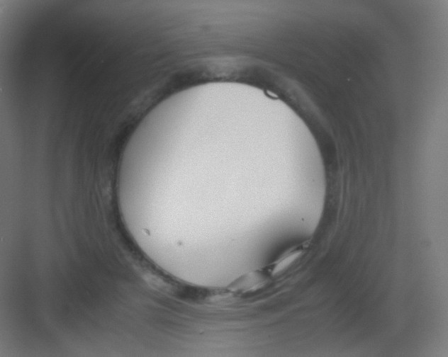 X0000081350505200702082258