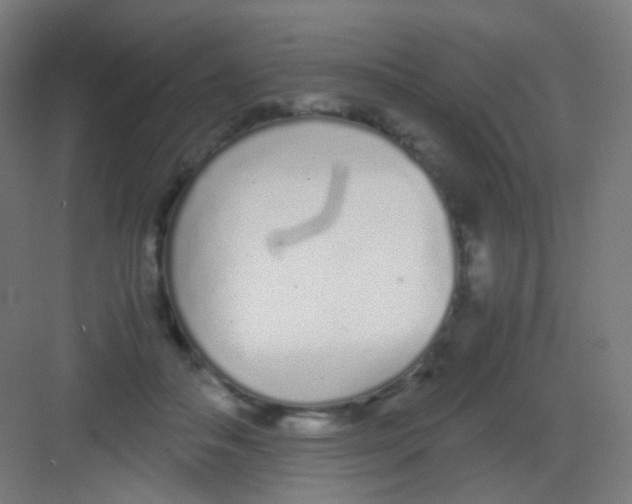 X0000081350506200702082258