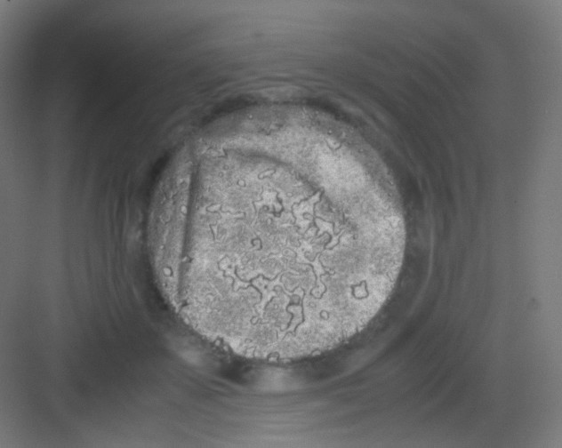 X0000081350507200702082258