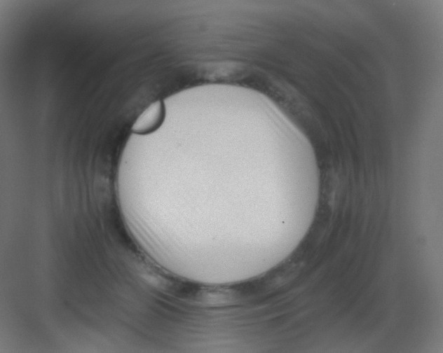 X0000081350510200702082258