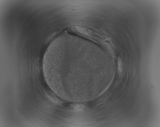 X0000081350512200702082258