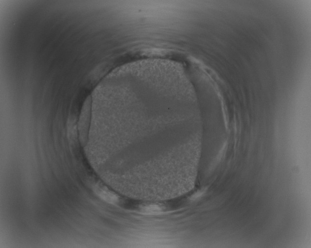 X0000081350513200702082258