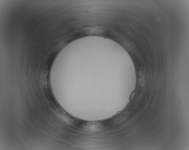 X0000081350514200702082258