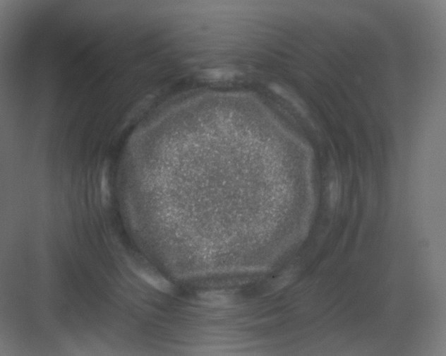 X0000081350516200702082258