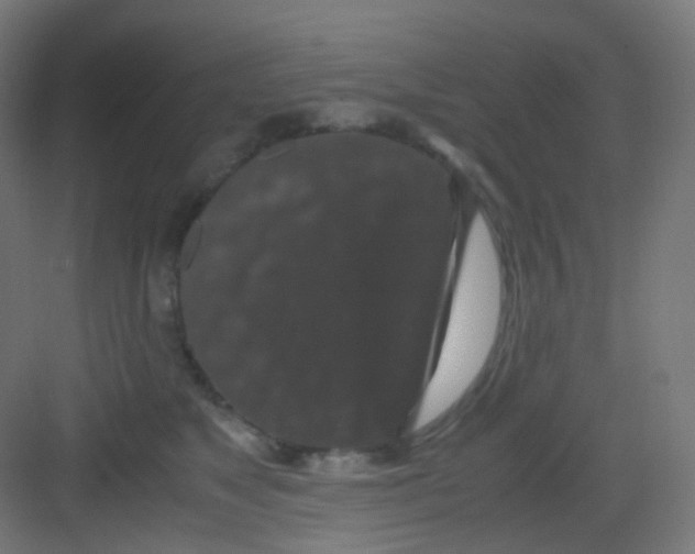 X0000081350517200702082258