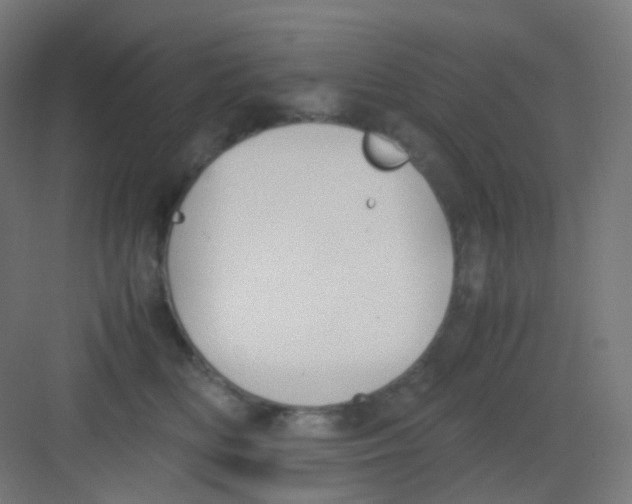 X0000081350518200702082258