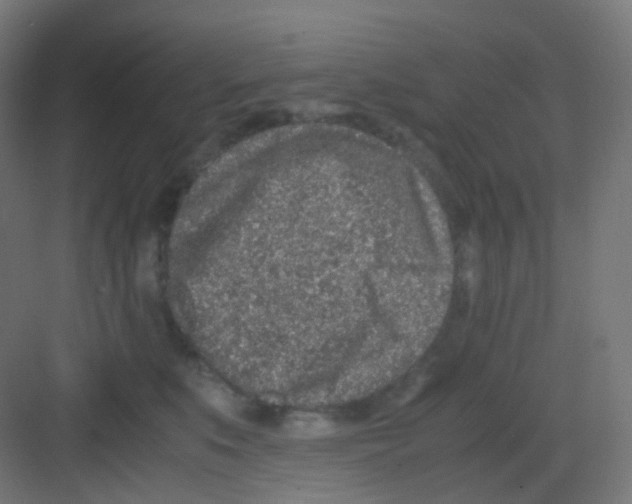 X0000081350519200702082258