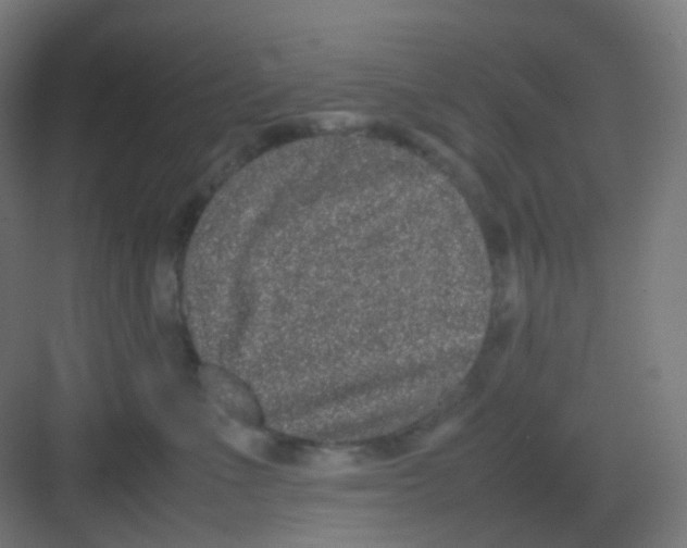 X0000081350523200702082258