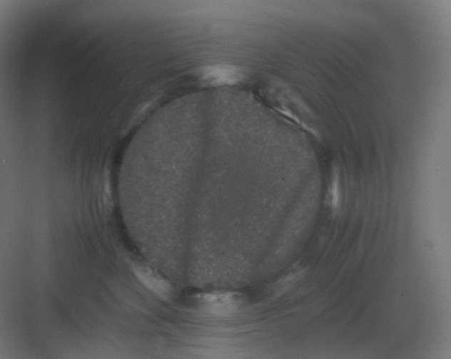 X0000081350524200702082258