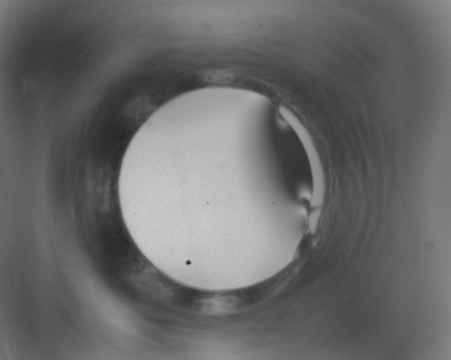 X0000081350525200702082258