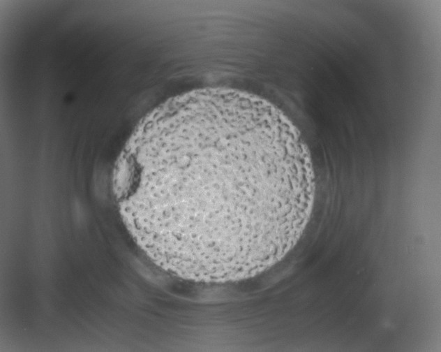 X0000081350527200702082258