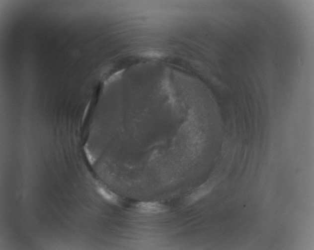 X0000081350528200702082258