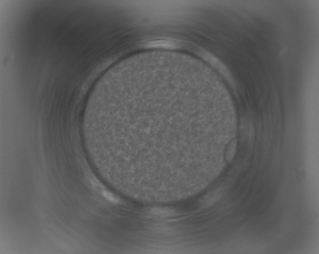 X0000081350529200702082257