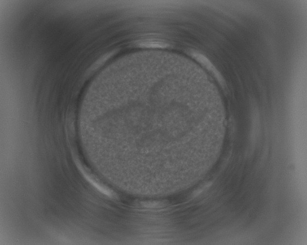 X0000081350533200702082257