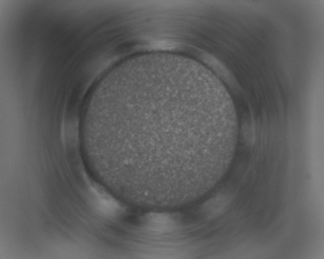 X0000081350534200702082257