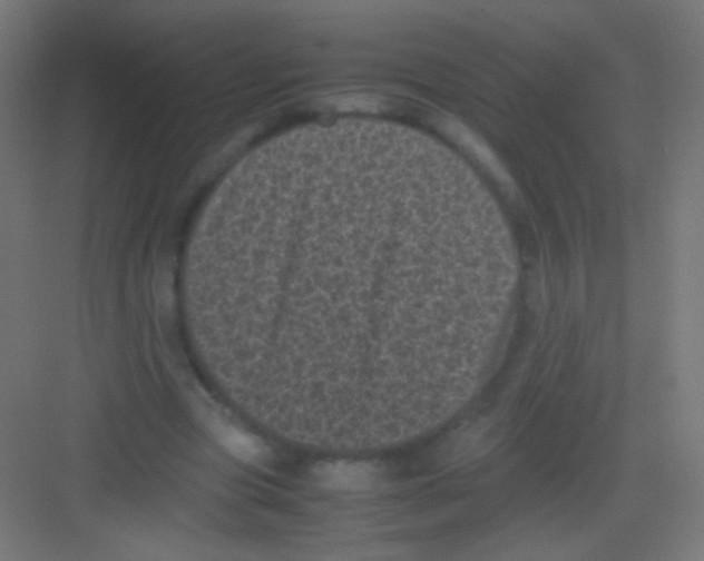 X0000081350537200702082257