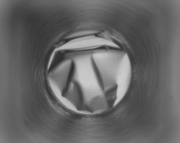 X0000081350538200702082257