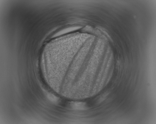 X0000081350539200702082257