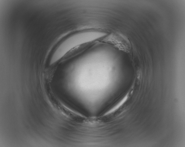 X0000081350540200702082257