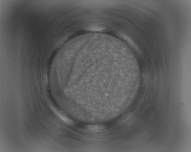 X0000081350541200702082257