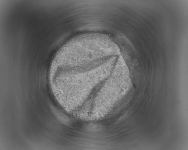 X0000081350542200702082257