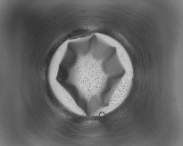 X0000081350543200702082257