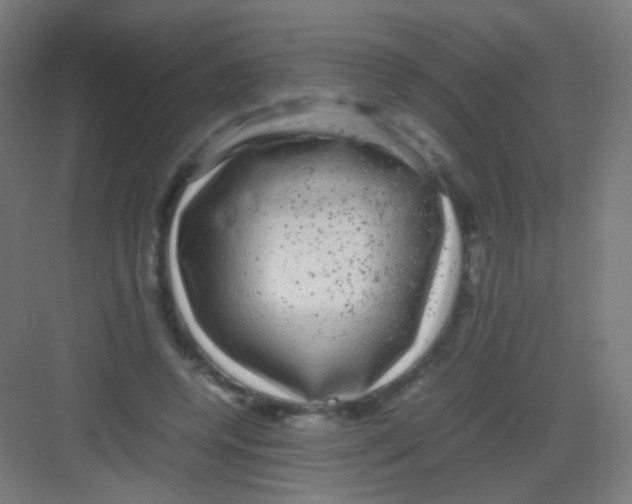 X0000081350544200702082257