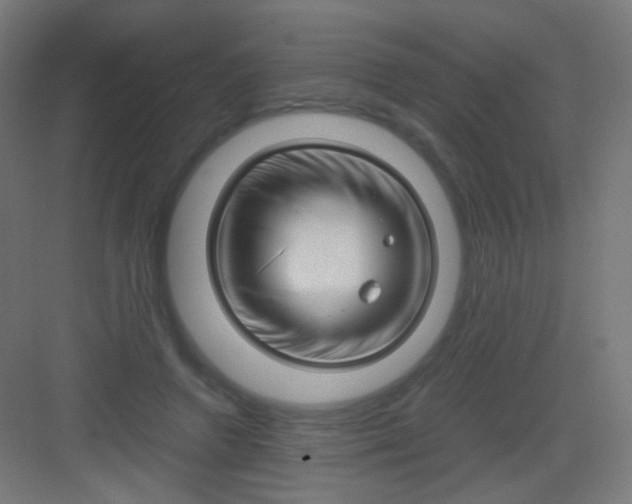 X0000081350546200702082257